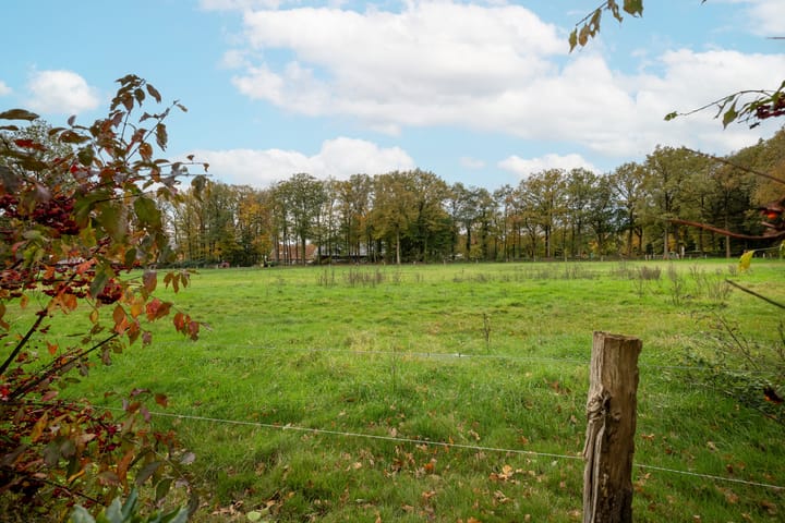 Foto 10 van Wittebergweg 18-C8