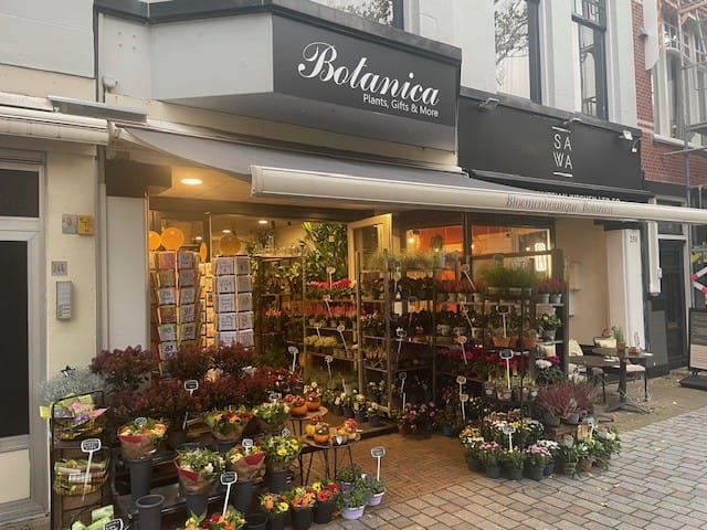 Bekijk foto 1 van Frederik Hendriklaan 248