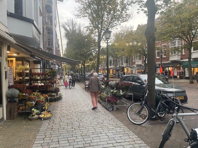 Bekijk foto 5 van Frederik Hendriklaan 248