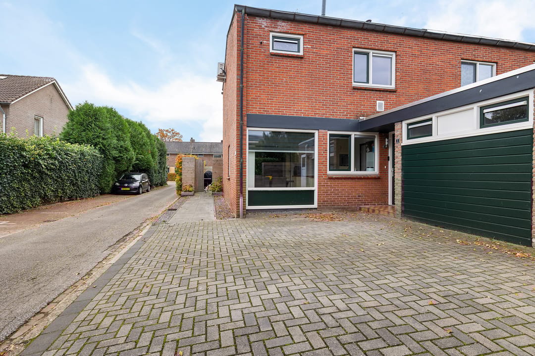 Foto 2 van Wollegras 1