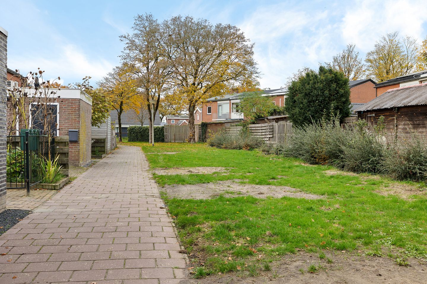 Foto 4 van Wollegras 1