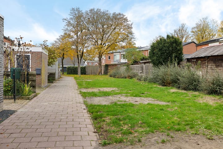 Foto 4 van Wollegras 1