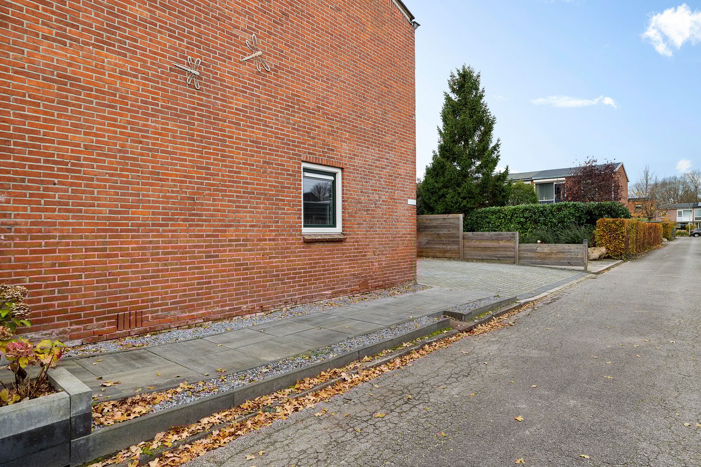 Foto 5 van Wollegras 1