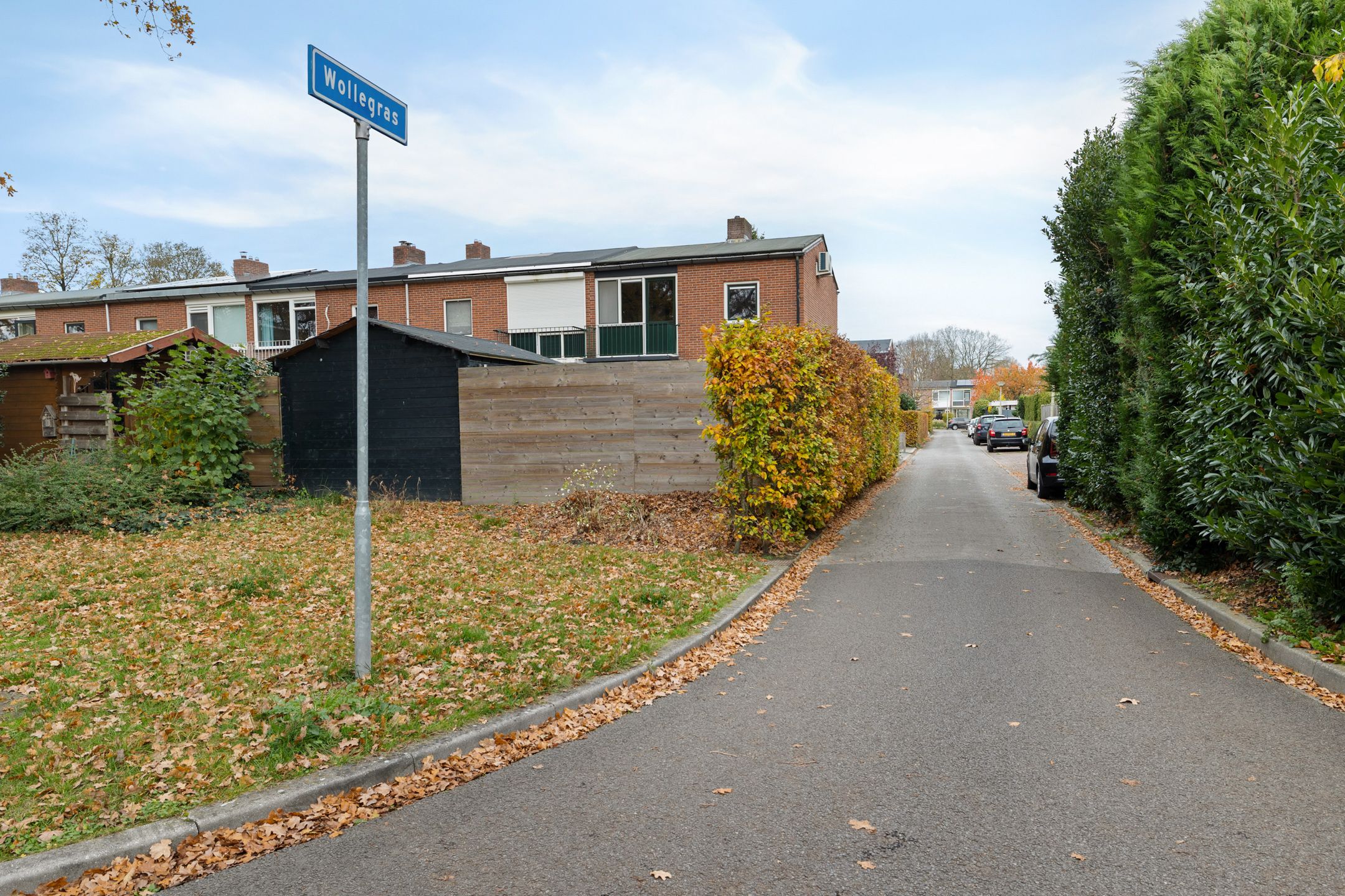 Foto 6 van Wollegras 1