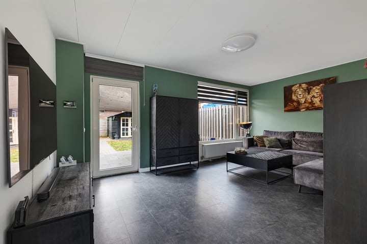 Foto 12 van Wollegras 1