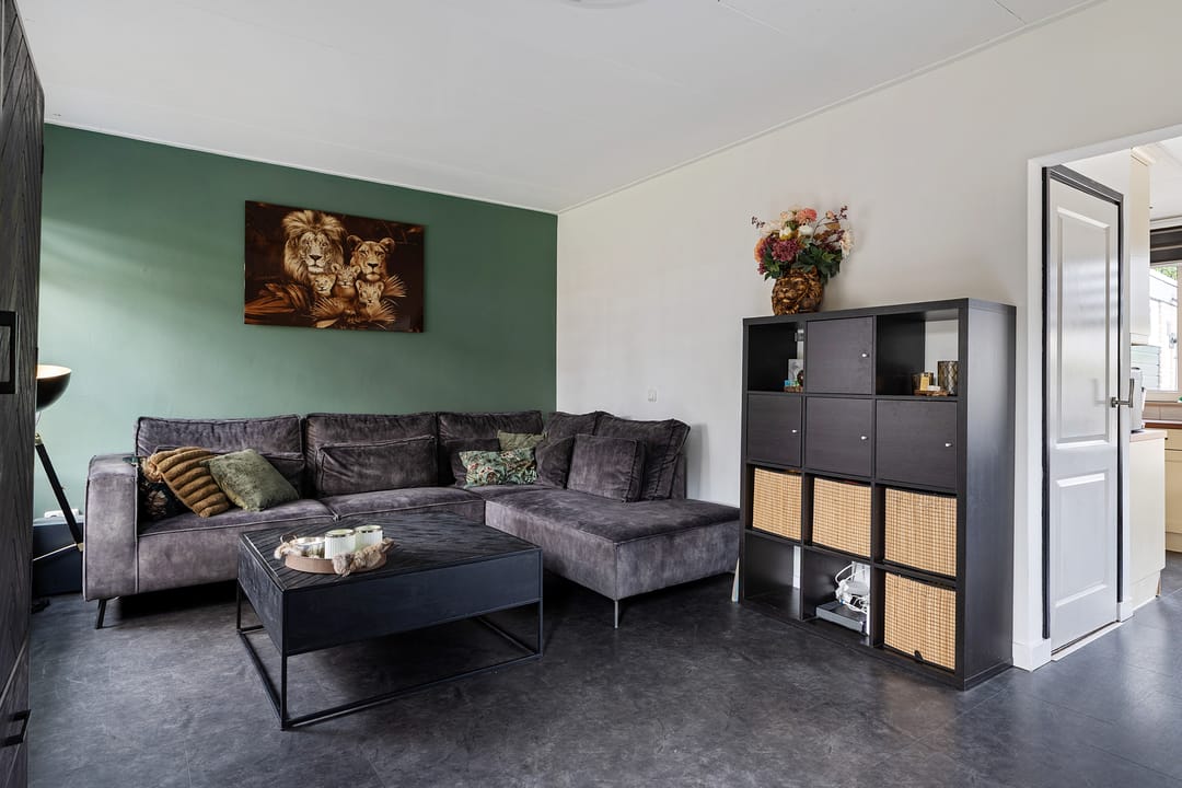 Foto 13 van Wollegras 1