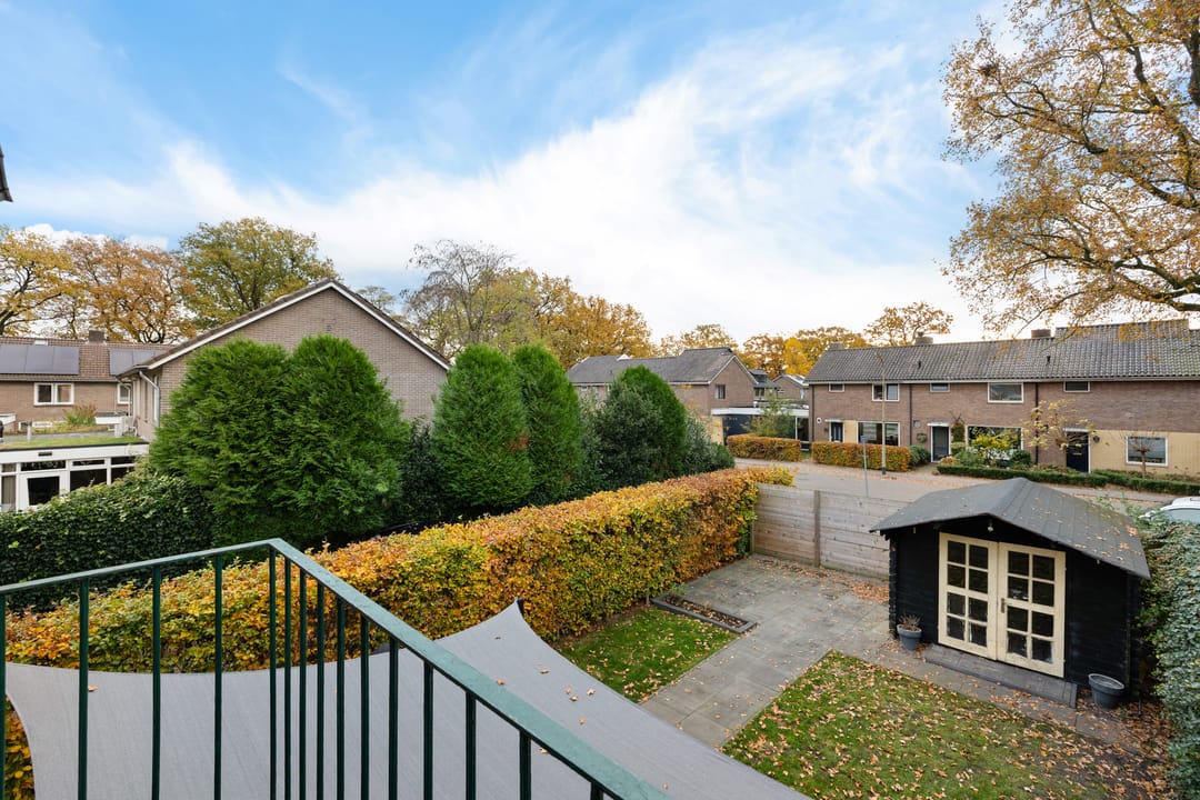 Foto 28 van Wollegras 1