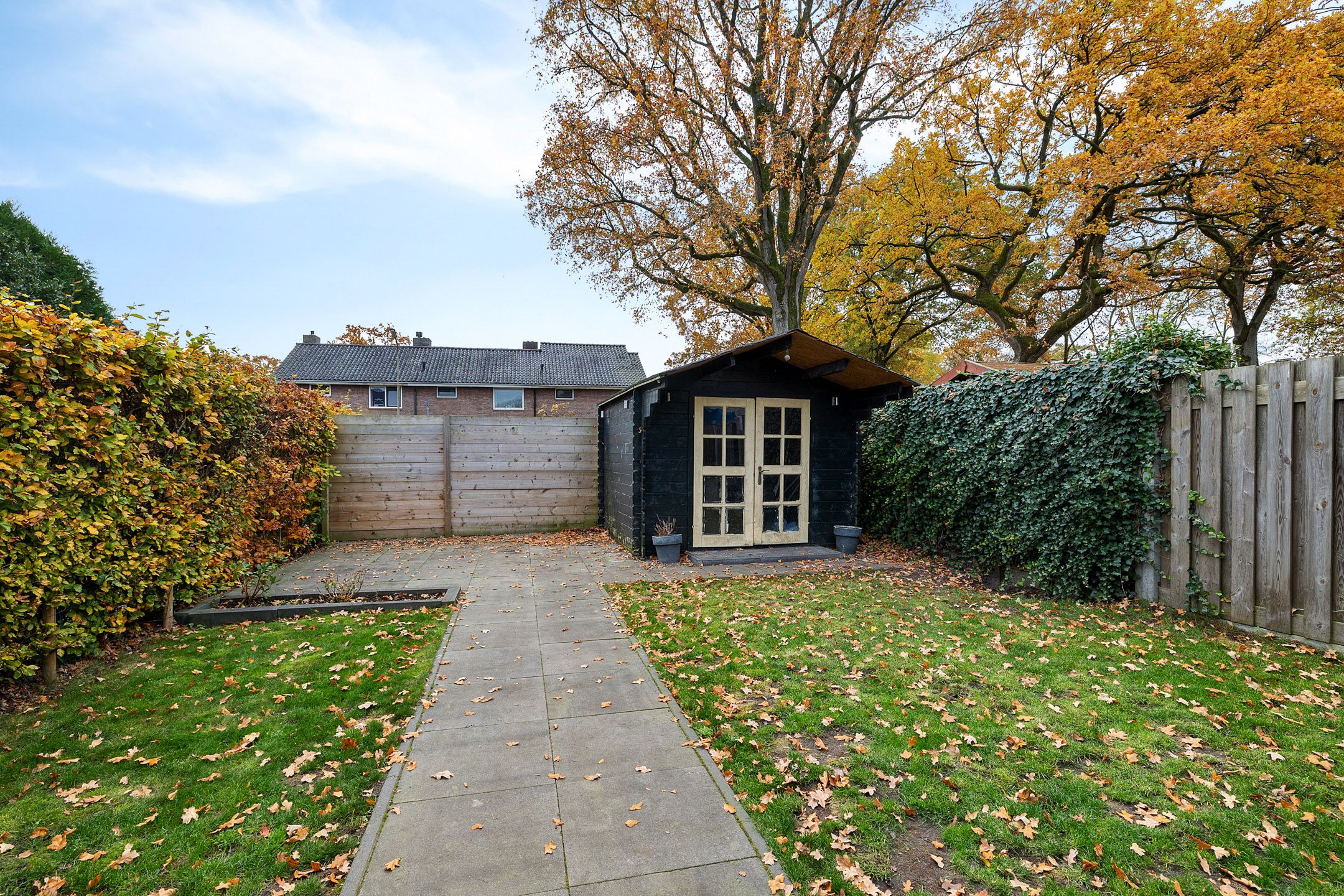 Foto 30 van Wollegras 1