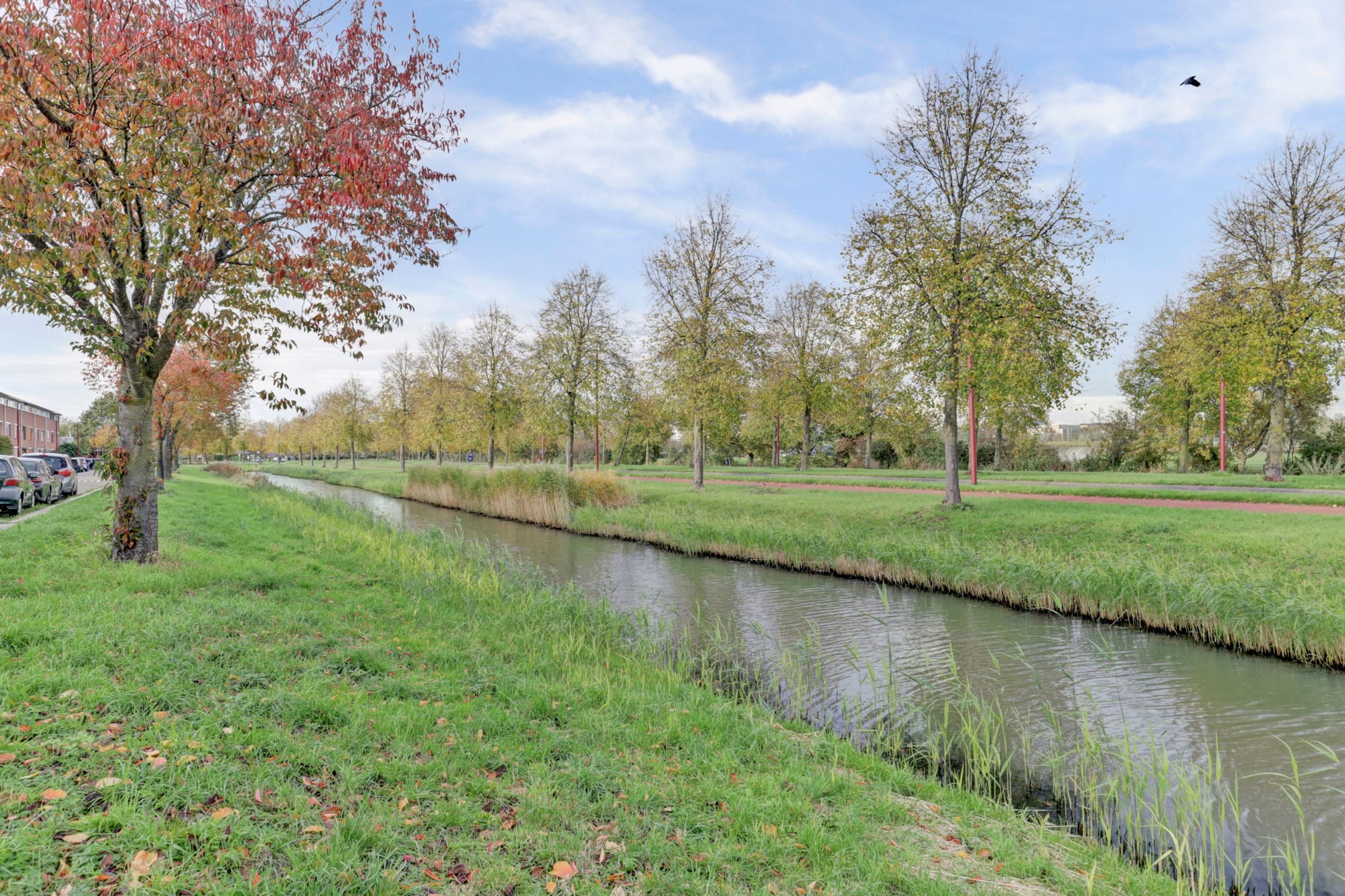 Foto 36 van Willem Klooshove 23