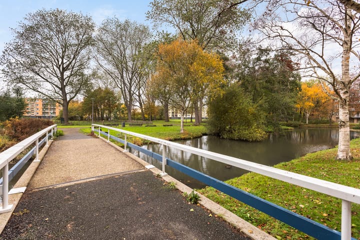 Foto 24 van Bredenoord 125