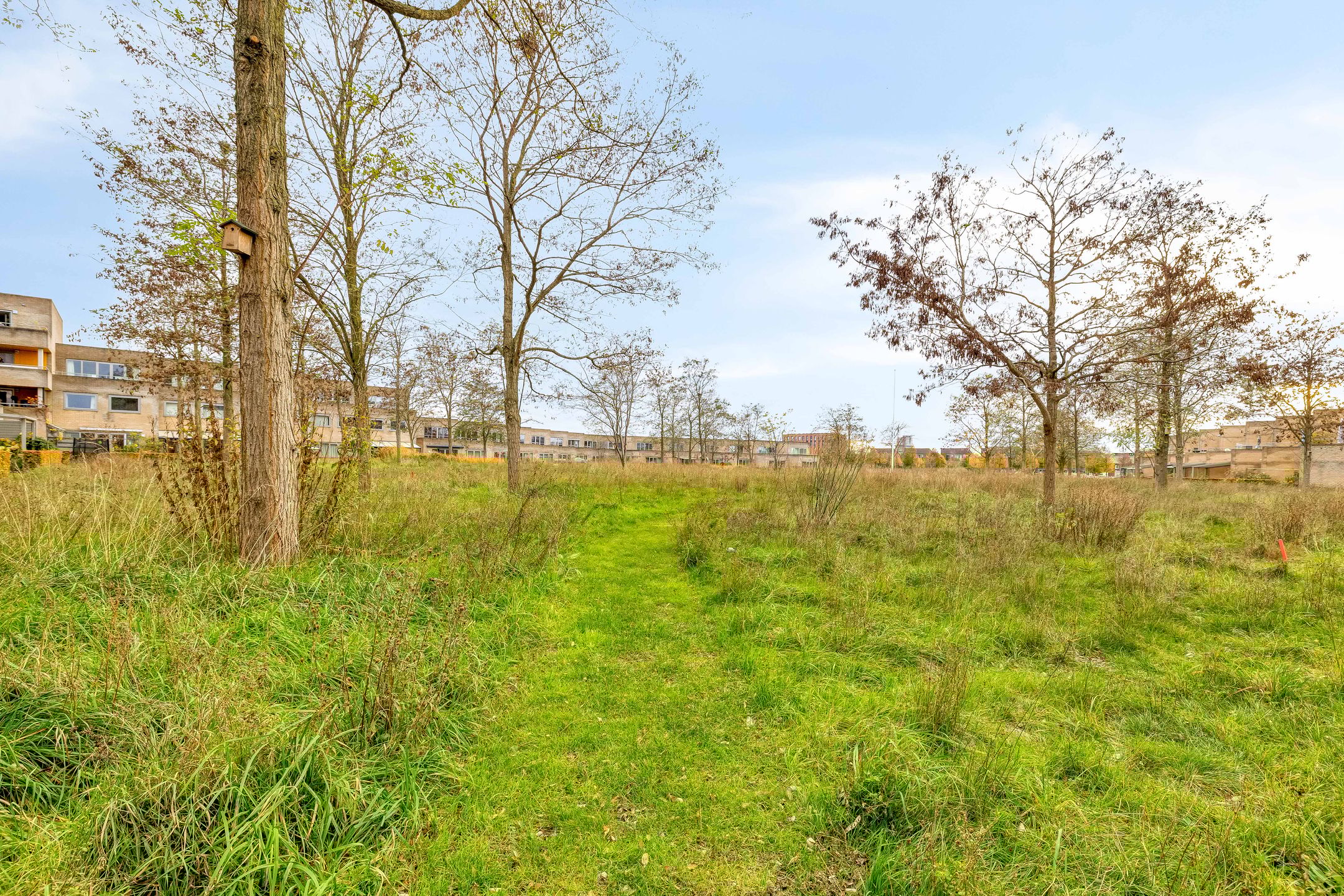 Foto 21 van Poseidonsingel 28