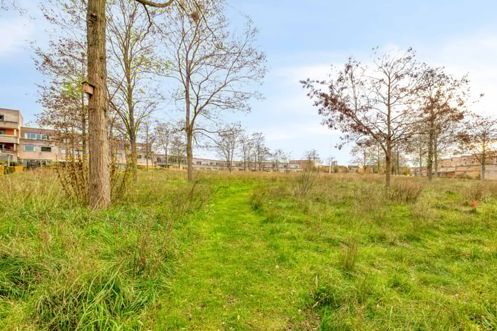 Foto 21 van Poseidonsingel 28