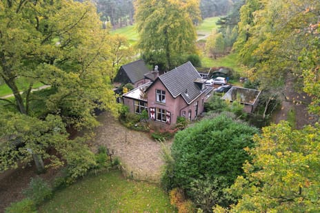 undefined main image