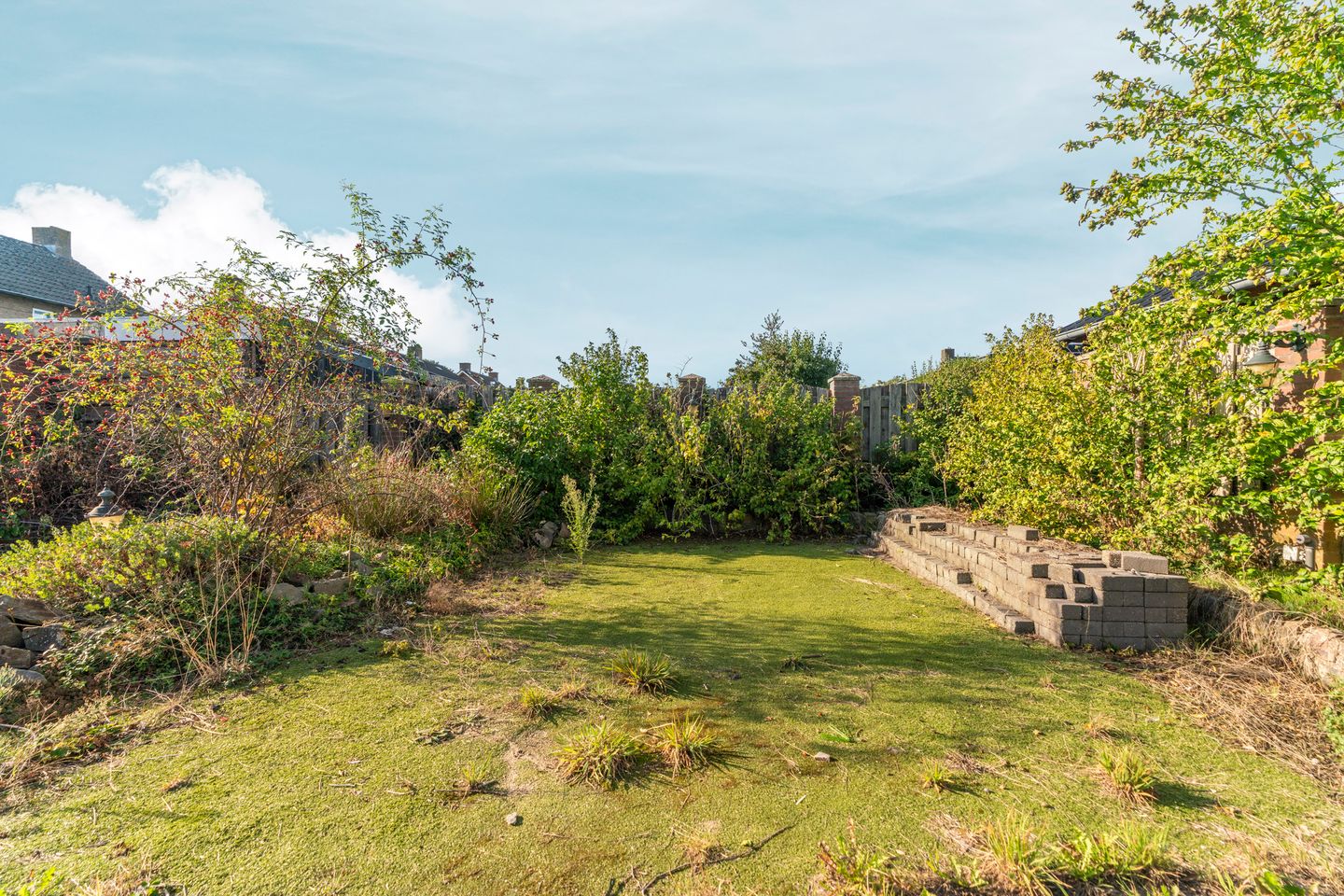 Foto 5 van Schapendreef 18