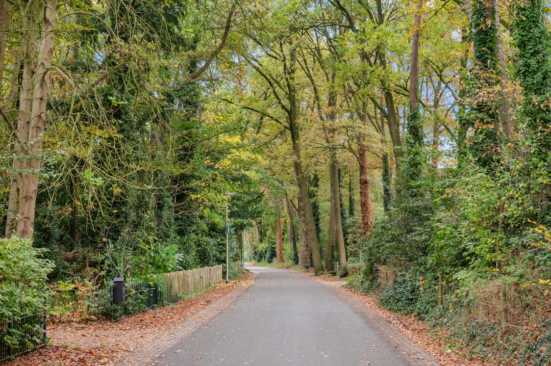 Photo 41 of De Hulle 1