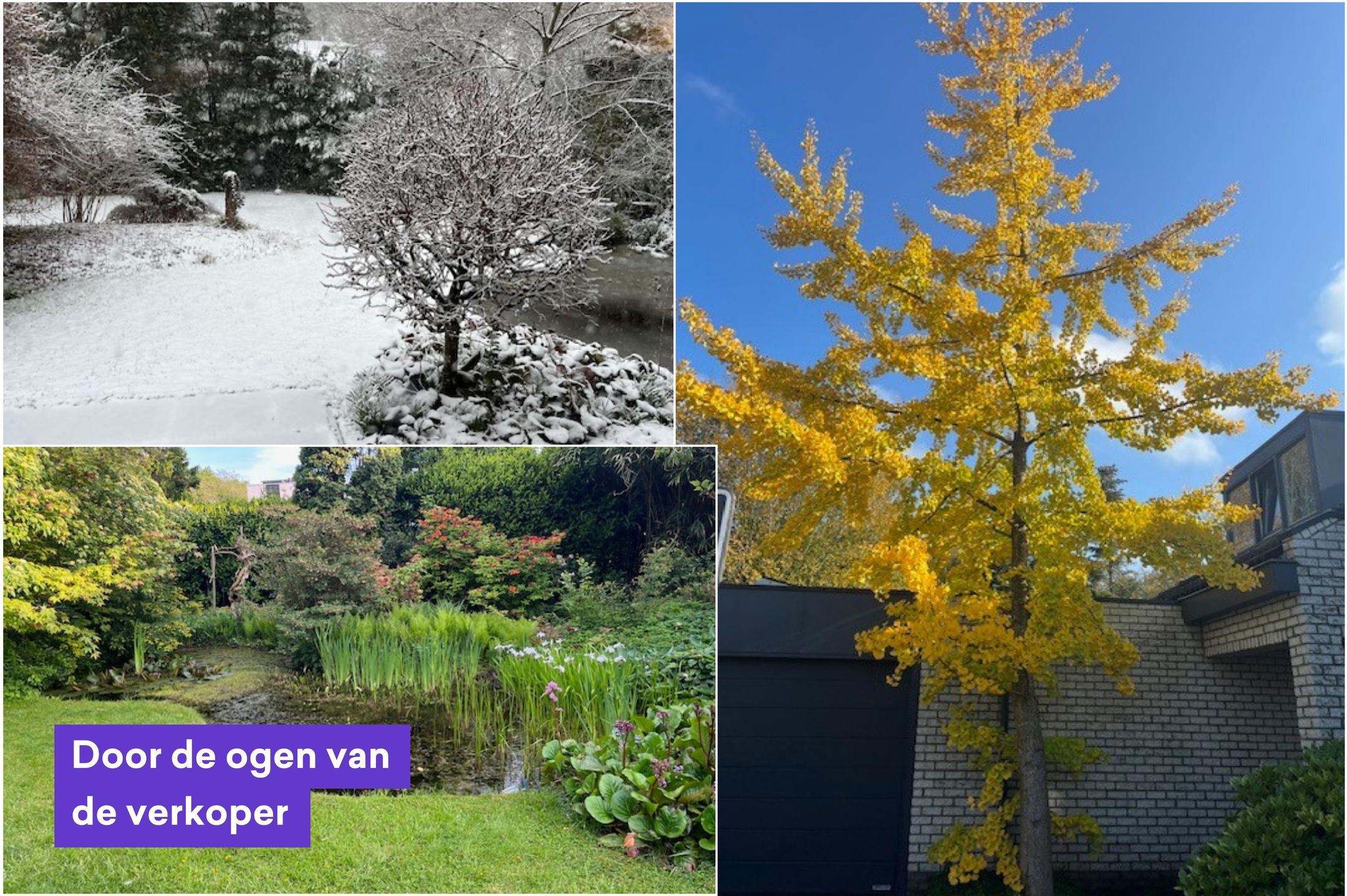 Photo 42 of De Hulle 1