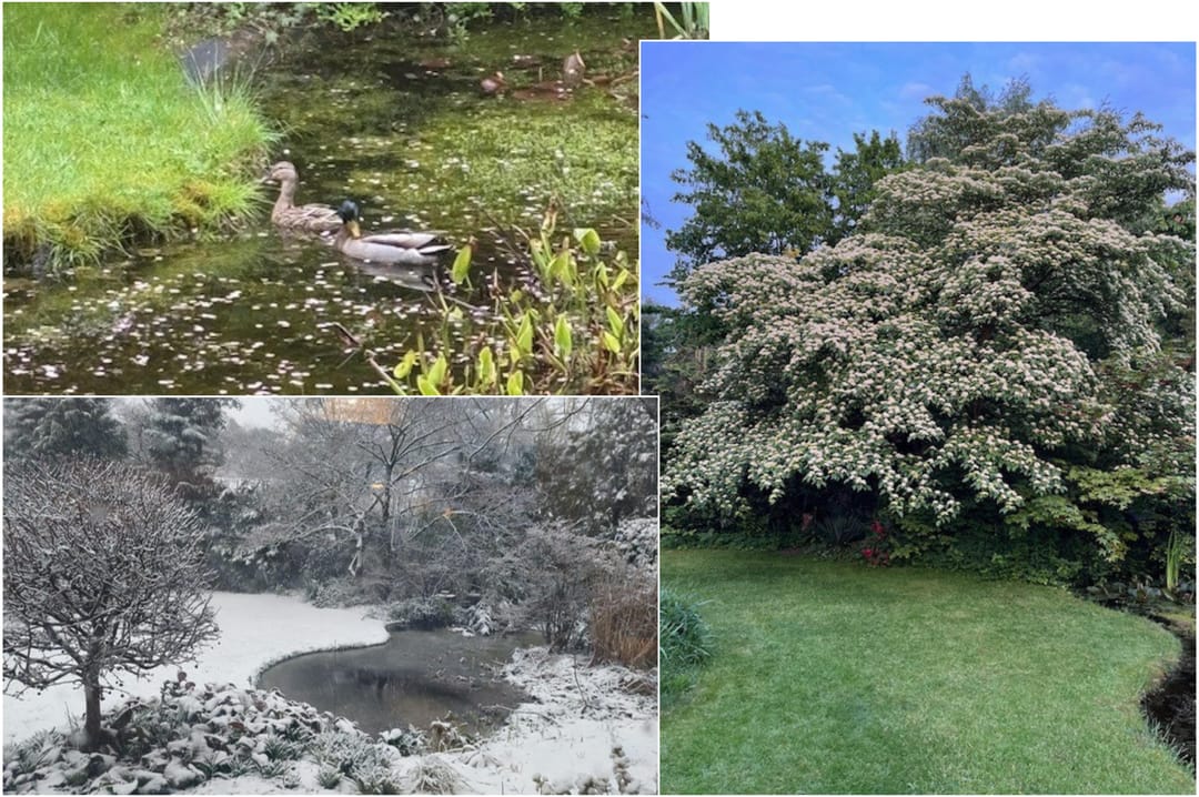 Photo 43 of De Hulle 1