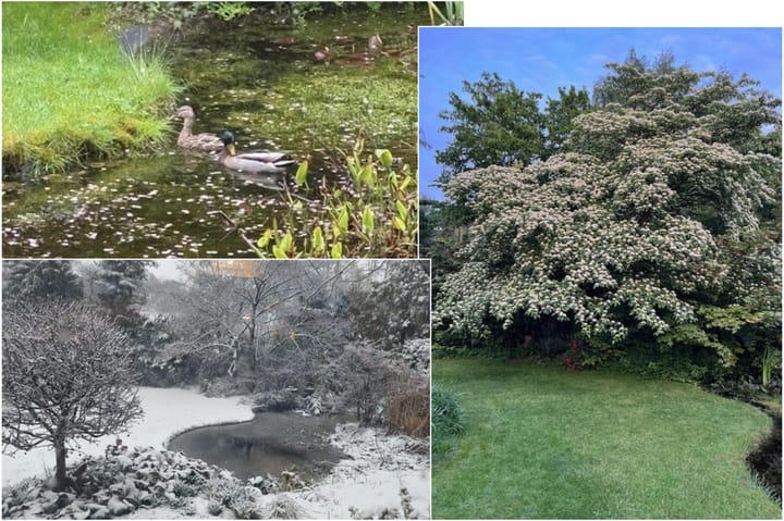 Foto 43 van De Hulle 1