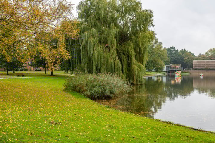 Foto 3 van Pioenstraat 22