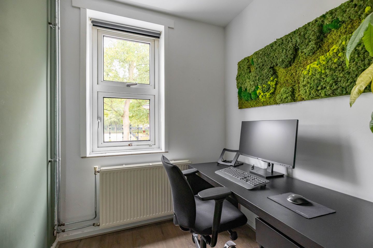 Photo 25 of Pioenstraat 22