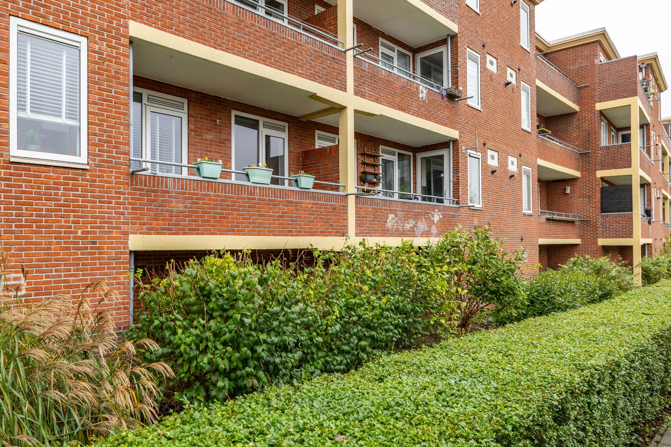 Photo 36 of Pioenstraat 22