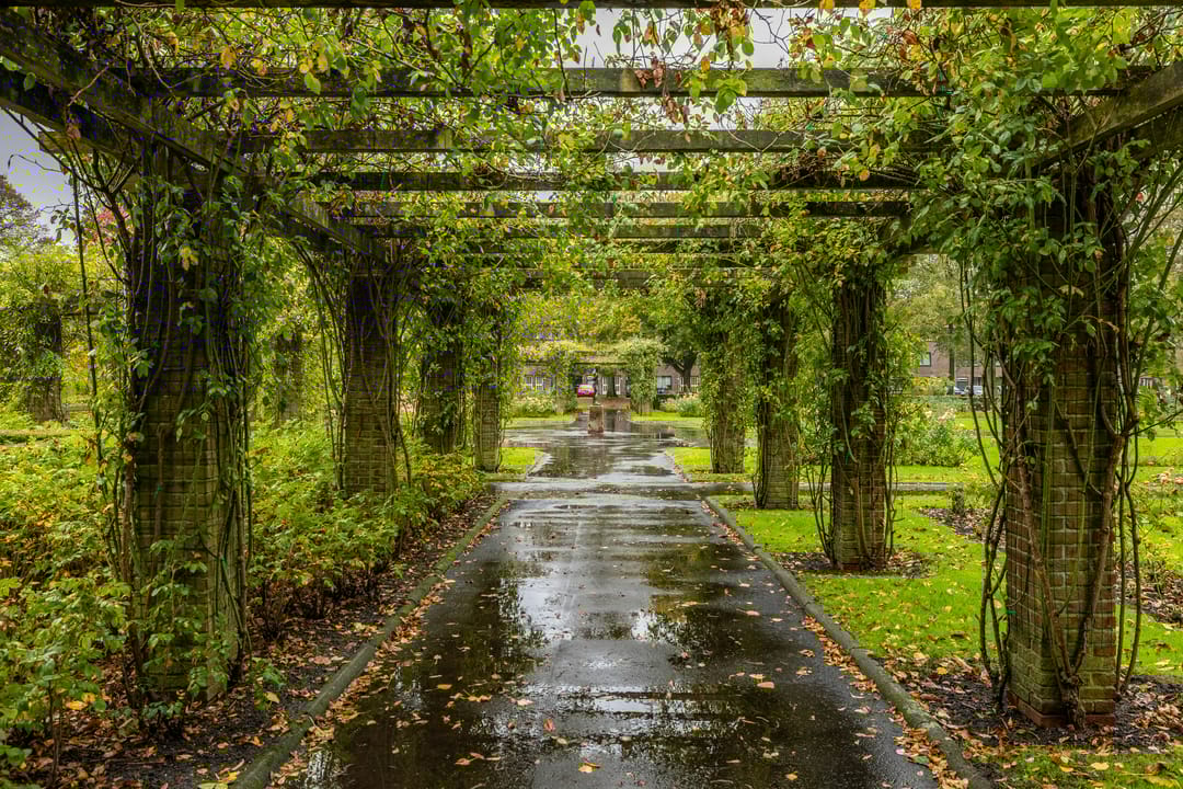 Photo 41 of Pioenstraat 22