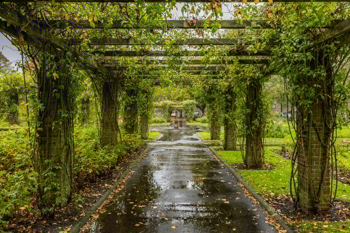 Foto 41 van Pioenstraat 22