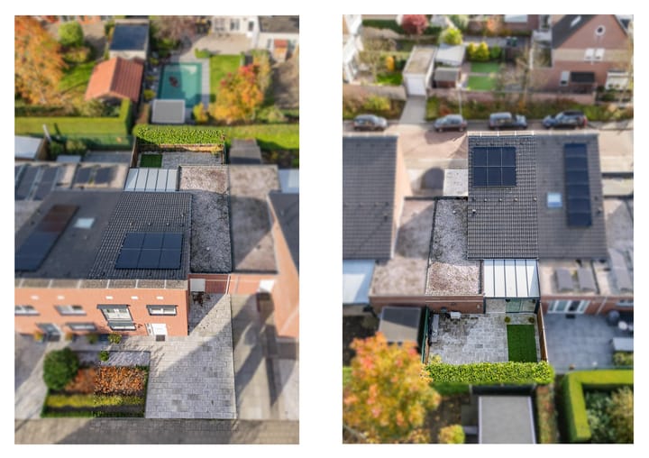 Foto 3 van Honingklaver 44