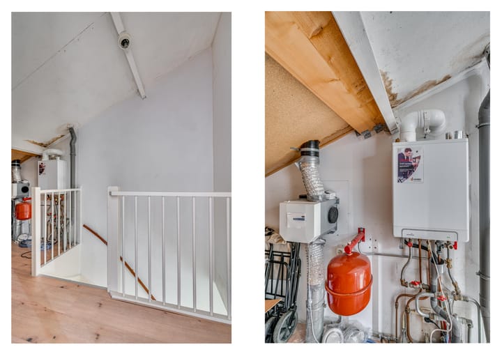 Foto 32 van Honingklaver 44