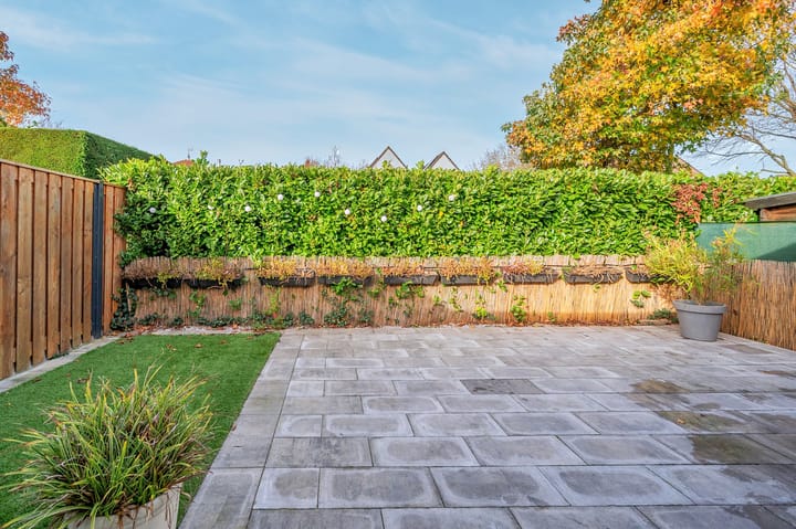 Foto 35 van Honingklaver 44