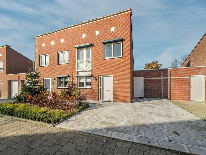 Foto 41 van Honingklaver 44