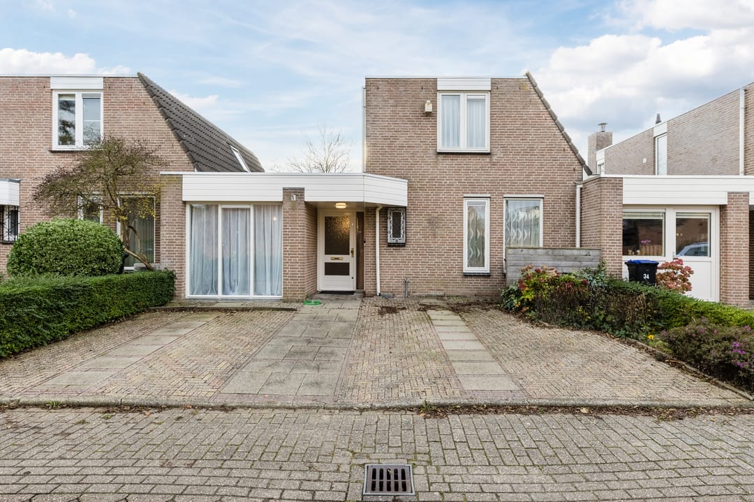 Foto 1 van Houtduif 36