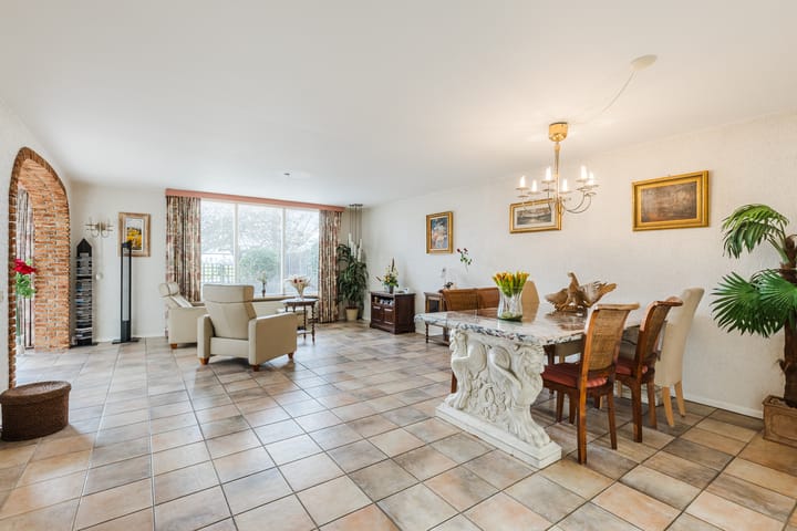 Foto 3 van Houtduif 36