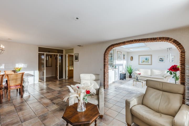 Foto 5 van Houtduif 36