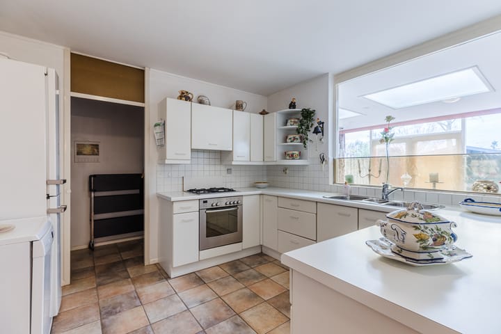 Foto 10 van Houtduif 36