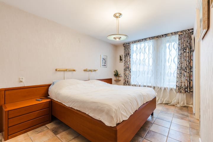 Foto 12 van Houtduif 36