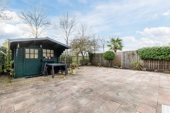 Foto 31 van Houtduif 36