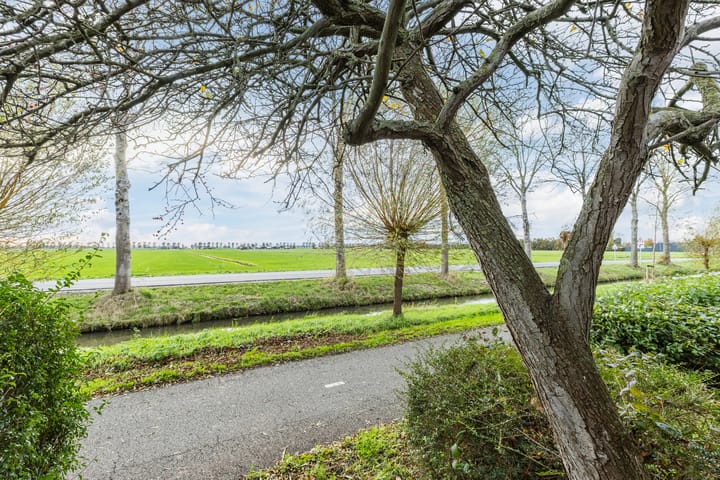 Foto 33 van Houtduif 36