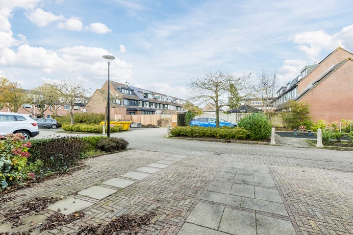 Foto 34 van Houtduif 36