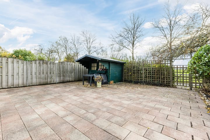 Foto 30 van Houtduif 36