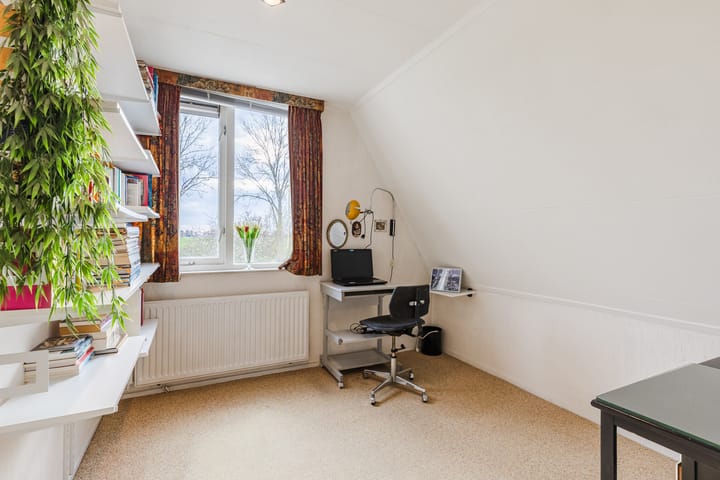 Foto 25 van Houtduif 36