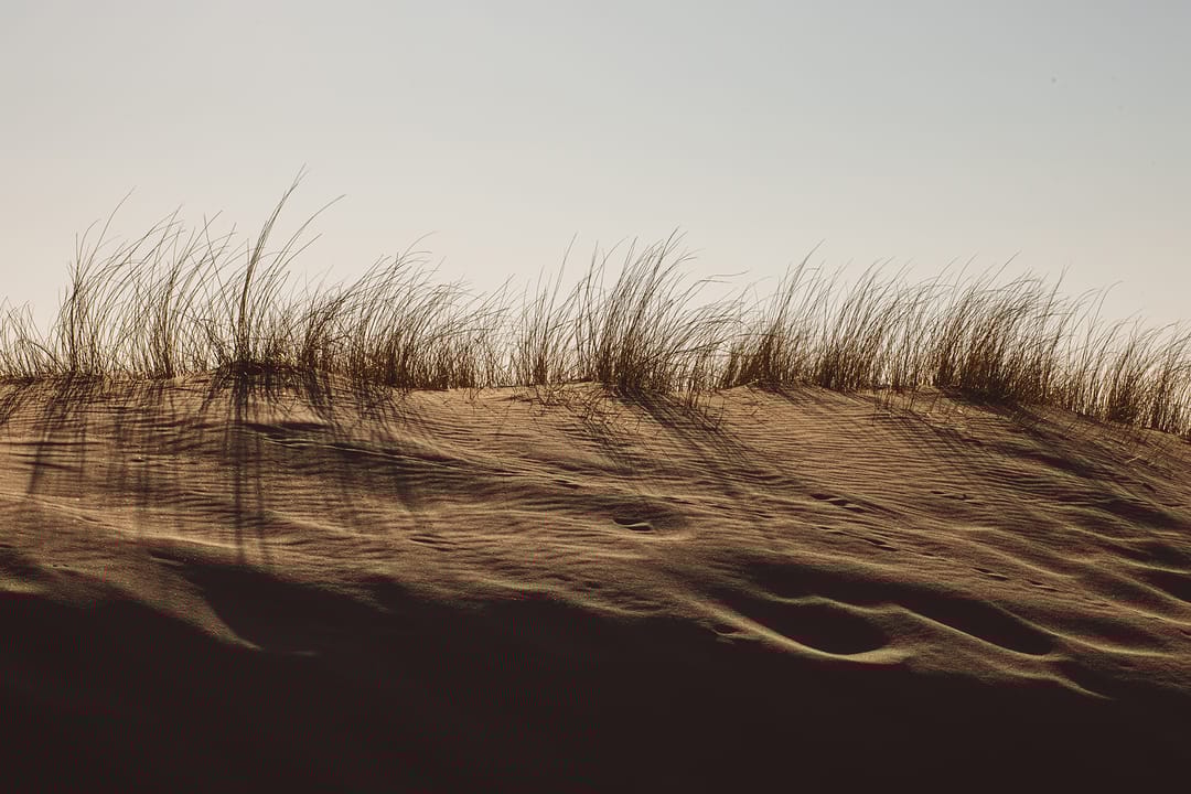 Foto 8 van Type A6 - woontoren Maravie (Bouwnr. B2.06)