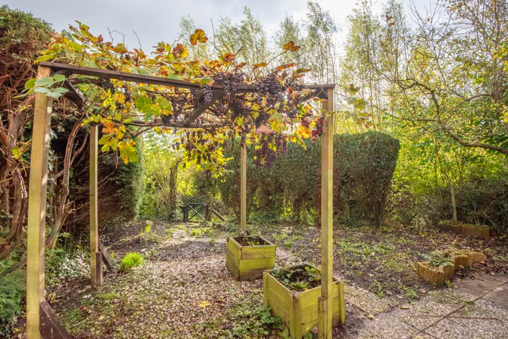 Foto 24 van Rinnewaard 47