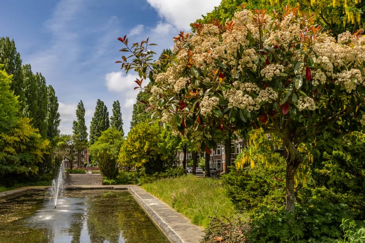 Photo 44 of Graaf Adolfstraat 76-B