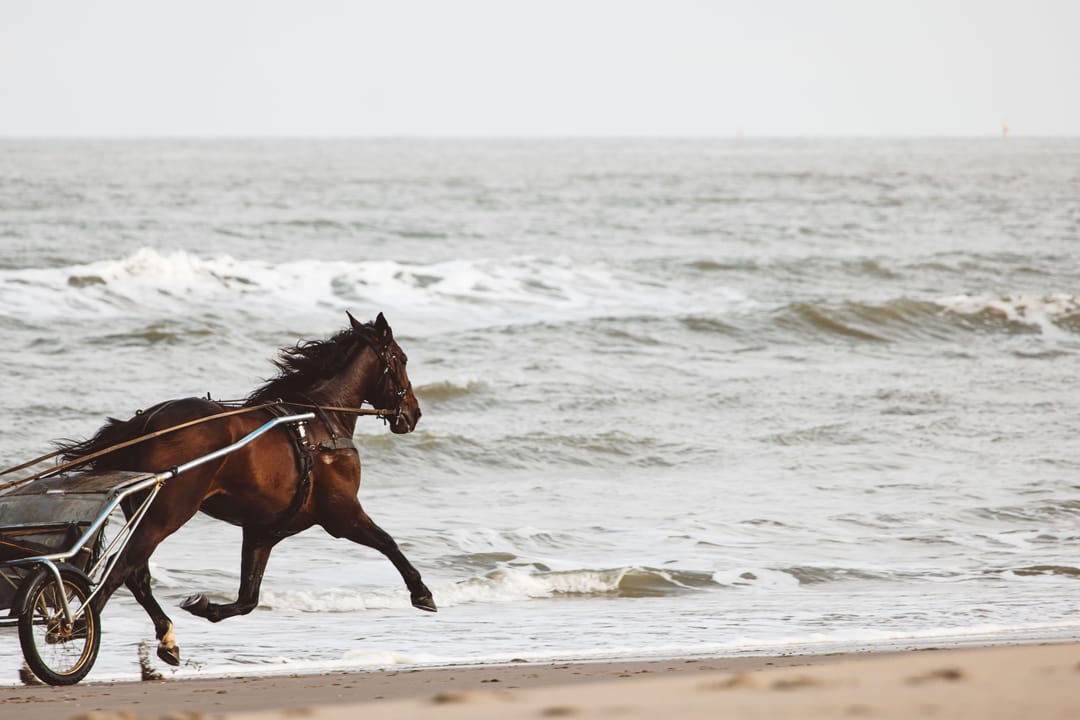 Foto 7 van Type B9 - woontoren Lunaris (Bouwnr. B11.02)