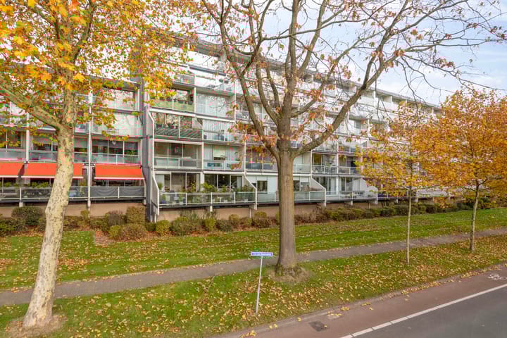 Dillenburg 310 main image