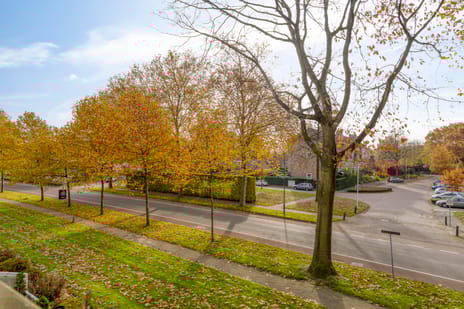 Dillenburg 310 tertiary image