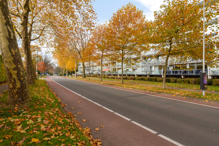 Foto 5 van Dillenburg 310