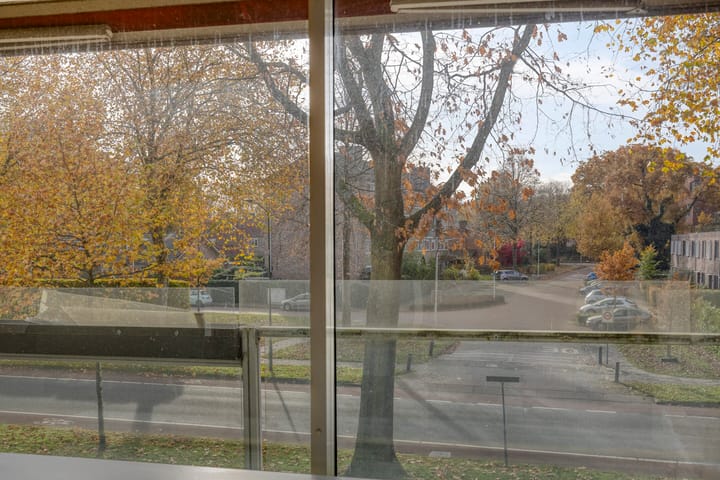 Foto 15 van Dillenburg 310