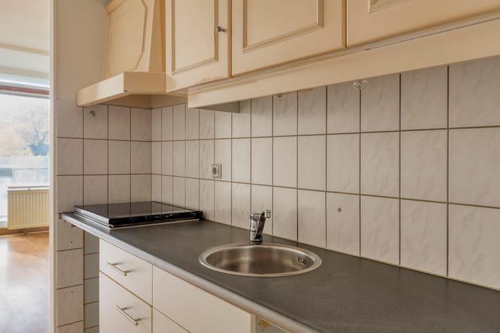 Foto 24 van Dillenburg 310